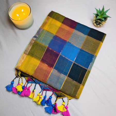 Mul Cotton Multi Colour Check Work Saree with Contrast Tassels